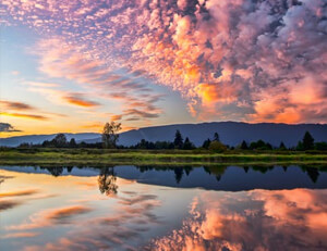 蒙彼利埃实现胜者为王,追逐榜首位置更近一步