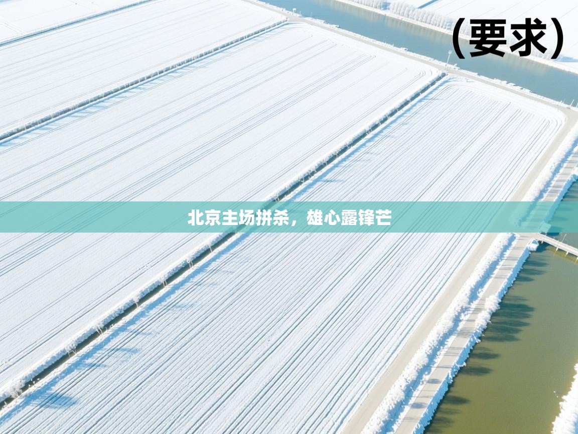 北京主场拼杀,雄心露锋芒 第1张