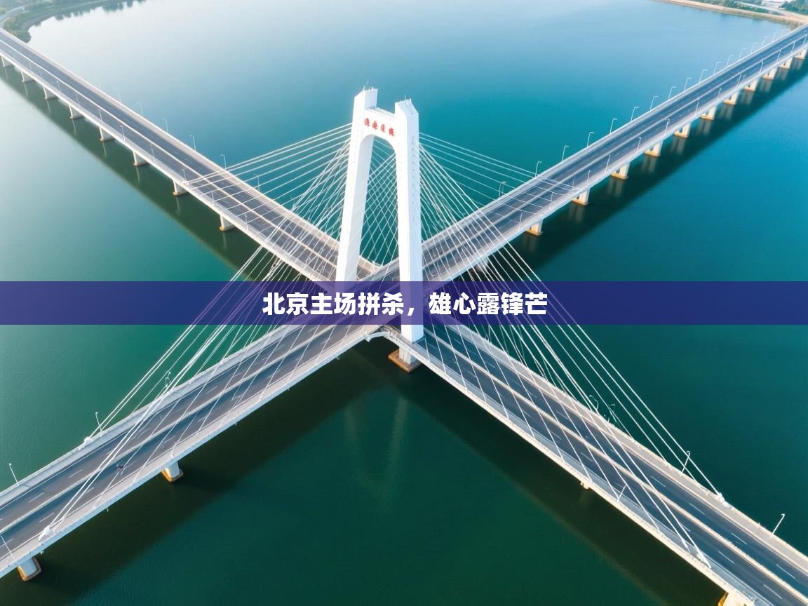 北京主场拼杀,雄心露锋芒 第2张